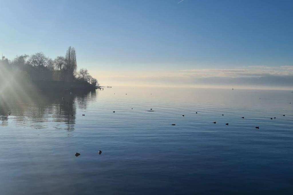 Apartmán Le Duc Thonon-les-Bains Exteriér fotografie